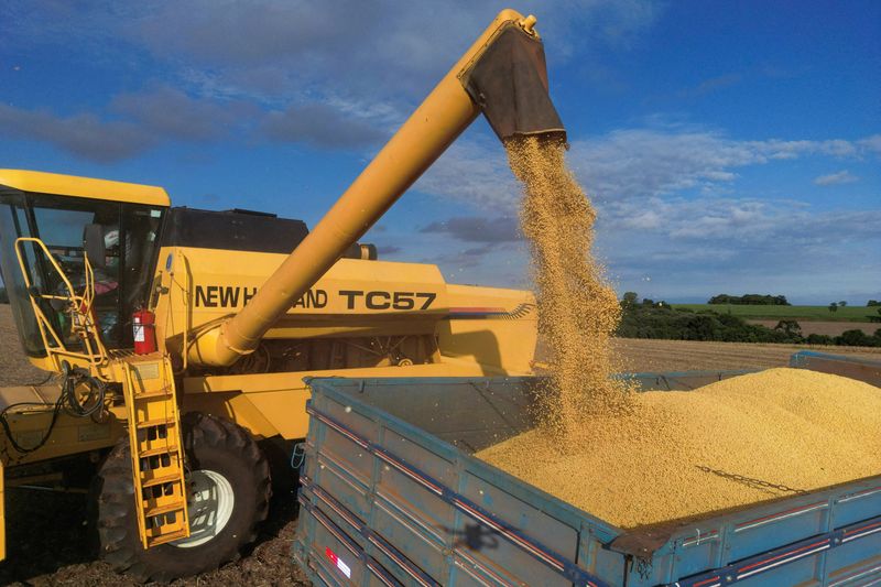 Las exportaciones brasileñas de soja caerían un 3% en 2026, dice Safras