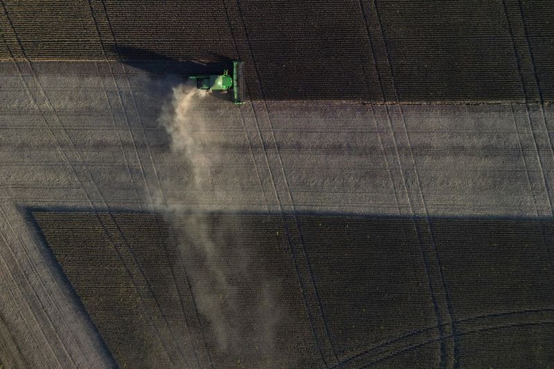 La cosecha de soja de Brasil avanza al ritmo más lento desde 2020/21, dice AgRural
