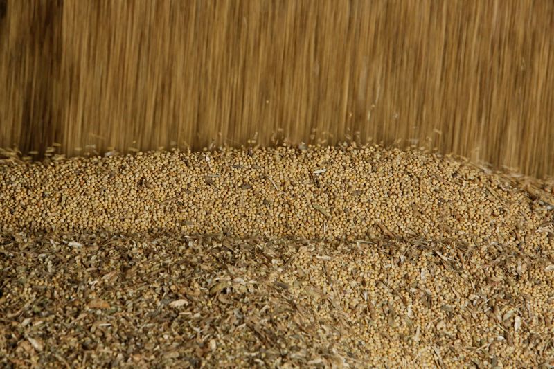 La soja y el trigo caen ante la incertidumbre comercial en EEUU tras la decisión sobre los aranceles