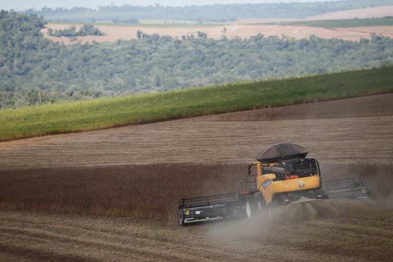 Soja, maíz y trigo amplían alzas por perturbación en la oferta de combustible y fertilizantes