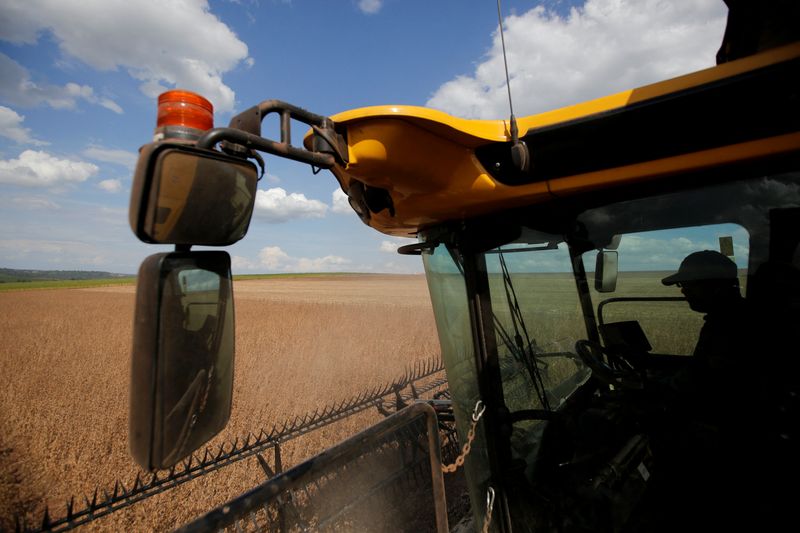 Futuros del maíz y la soja suben tras estimaciones de siembra del USDA y los datos sobre existencias