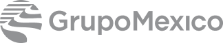 GMEXICO