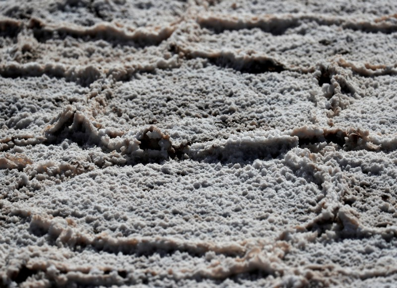 Ganfeng Lithium obtiene declaración de impacto ambiental para proyecto en Argentina