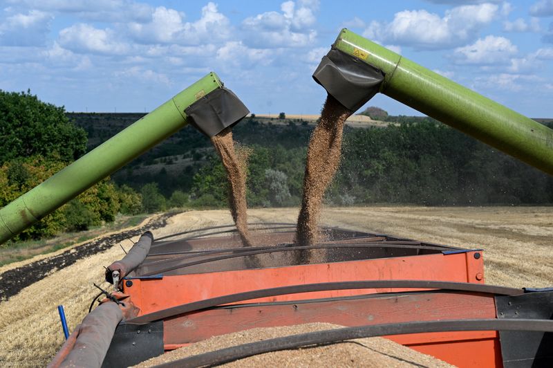 Rusia mantiene su previsión de cosecha de cereales en 135 millones de toneladas para 2025