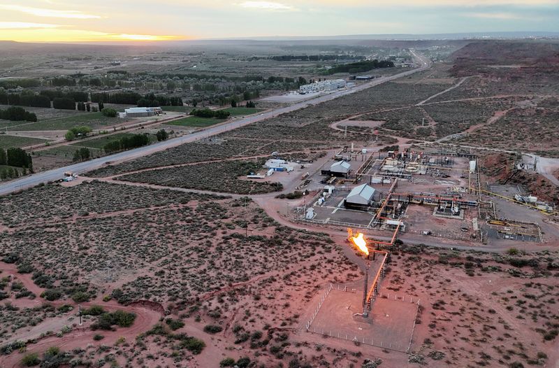 Vista Energy dice invertirá más de 4.500 million $ en argentina Vaca Muerta para aumentar producción